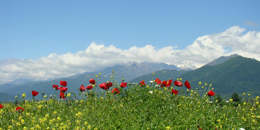 Best Spring Travel Destinations 2026: Where to Go This Season