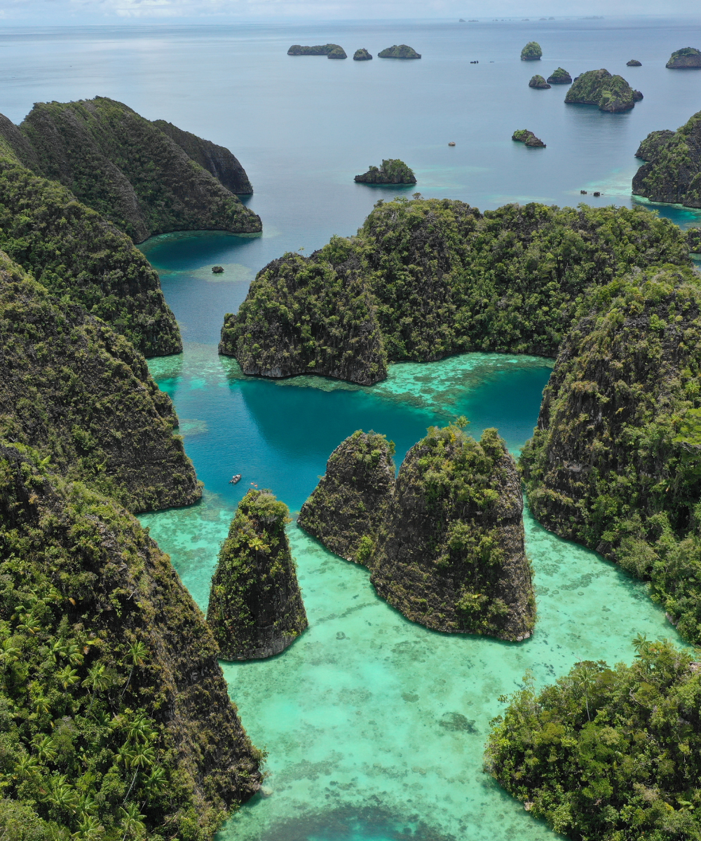 Papua New Guinea