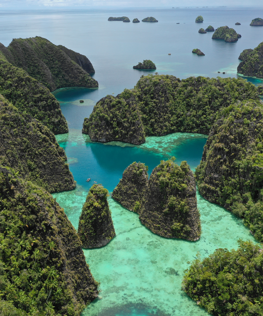 Papua New Guinea